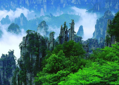 ����ɽ���c