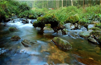 ���Ϫ���c(di��n)