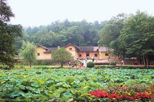  A9���Lɳ�����ǡ���ɽһ����