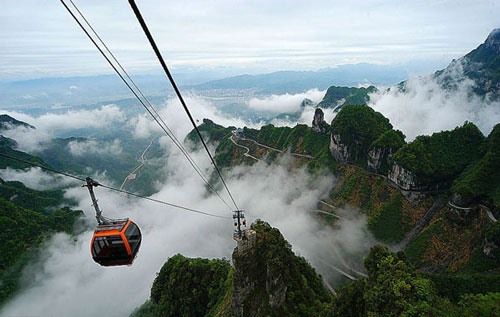 �����{܇�����ҽ����Tɽɭ�ֹ��@���P�˃�����