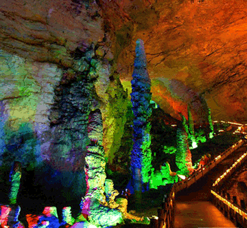 �S���������ҽ磩