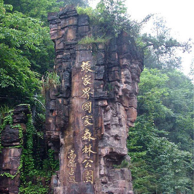 森林公園進山站