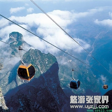  A5�����ҽ��(gu��)��ɭ�ֹ��@���S���������Tɽ��������������