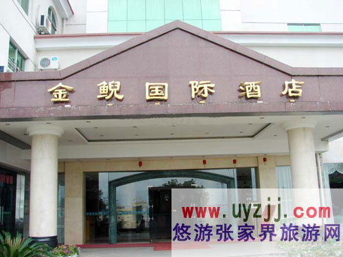 ���ҽ���F���H�Ƶ�