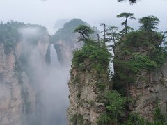 ��ͥ��λ���ҽ�����С���F