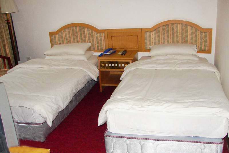 ���ҽ猚��ɽ�f�p���g 