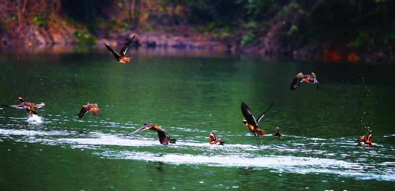 ���ҽ猚���9