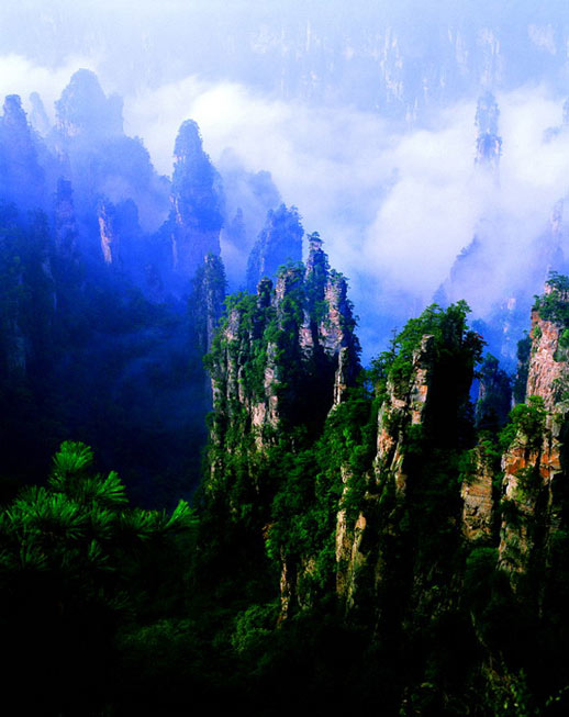 ����ɽ���^