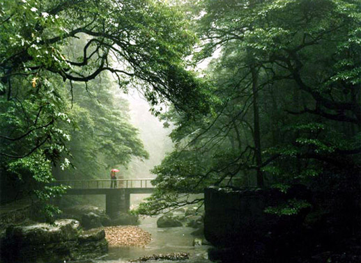 ɭ�ֹ��@���Ϫ�L��