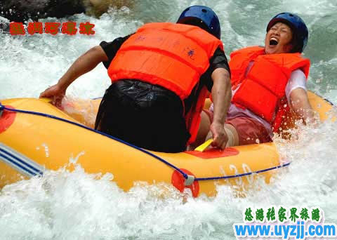  B13�����ҽ��(gu��)��ɭ�ֹ��@���S�������Ͷ���Ư�����P�˹ų�������