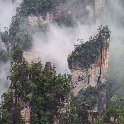  D1�����ҽ����ɭ�ֹ��@�������{܇����������