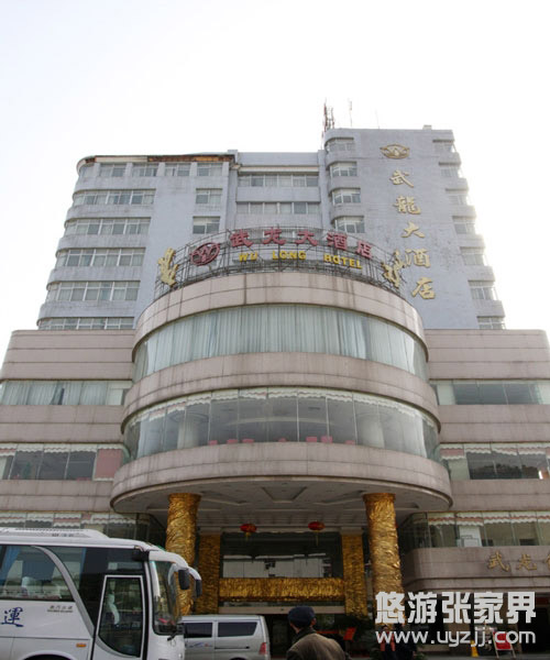 ���ҽ�������Ƶ�