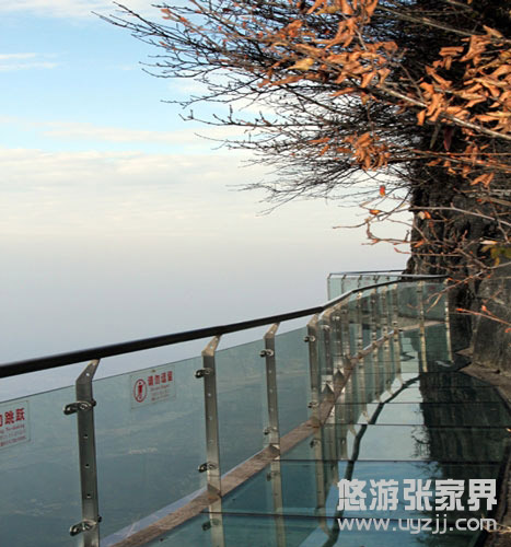 ���ҽ粣������