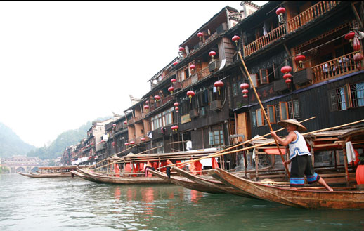  D7�����ҽ��(gu��)��ɭ�ֹ��@���S����/��������P�˹ųǡ���������������