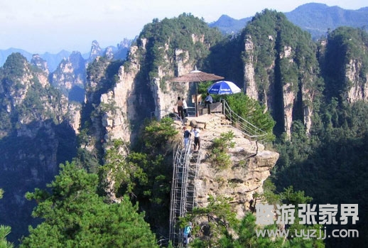 ���կ�Ӿ��c