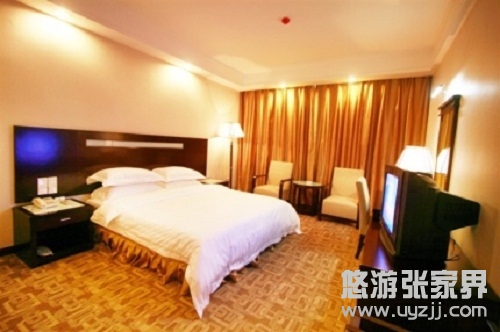 _���ҽ��͢�Ƶ�W���Aӆ