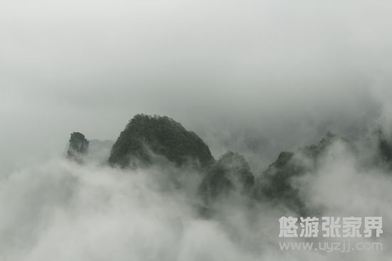 �Ɖ�����F�о�ɫ