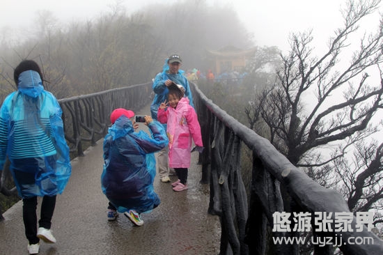 ���Tɽ���ȗ����ο�