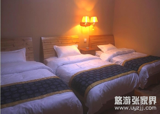 ���m�͗������g