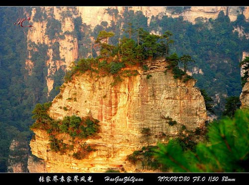  C9�����ҽ硢Ԭ�ҽ硢��ҽ硢����ɽ�����Tɽ���Ͷ���Ư�����P�˹ų�����������