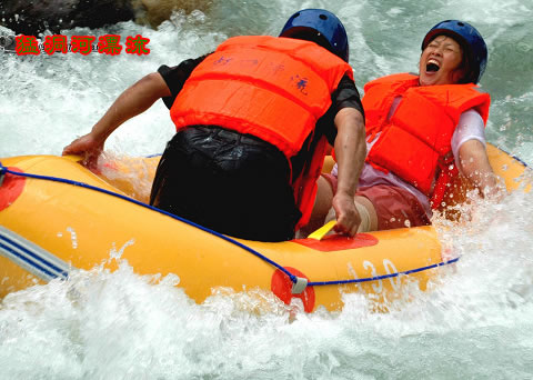  C8�����ҽ硢Ԭ�ҽ硢��ҽ硢����ɽ���Ͷ���Ư�����P�˹ų�����������