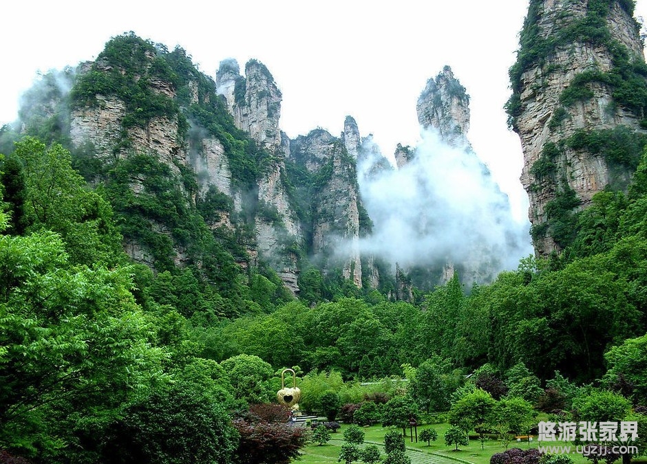 ���ҽ����ɭ�ֹ��@�ƾ��^