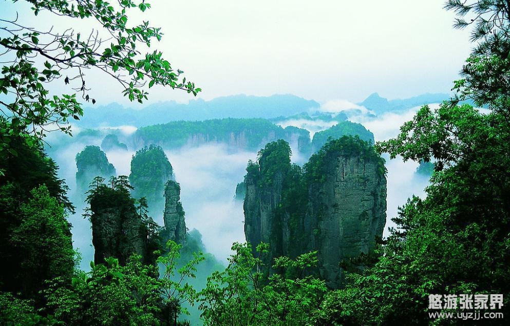 ɭ�ֹ��@�������c�Sʯկ���^