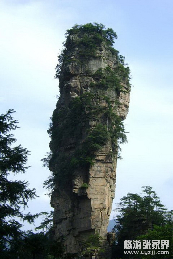 ɭ�ֹ��@�������c����һ��