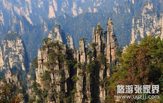 ��1����������ɽ���^���^����