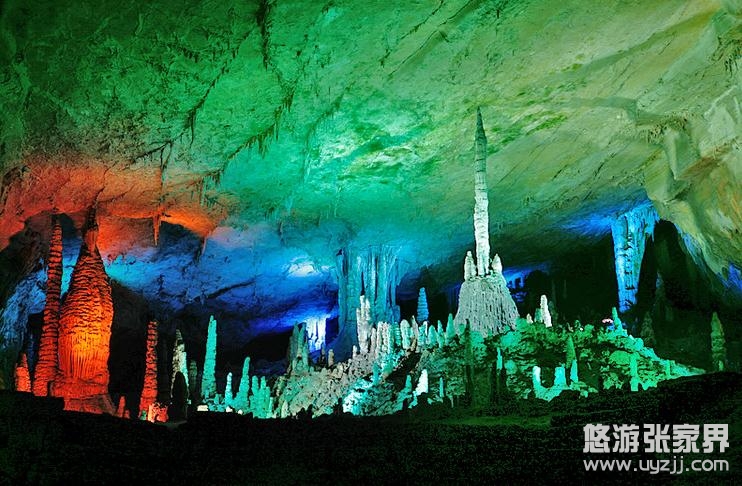 �����ܶ����^�S�������^