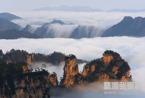 ɭ�ֹ��@��(n��i)����ɽ�ƾ�