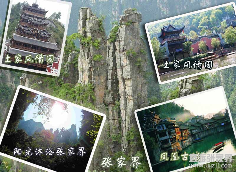 �������ҽ�