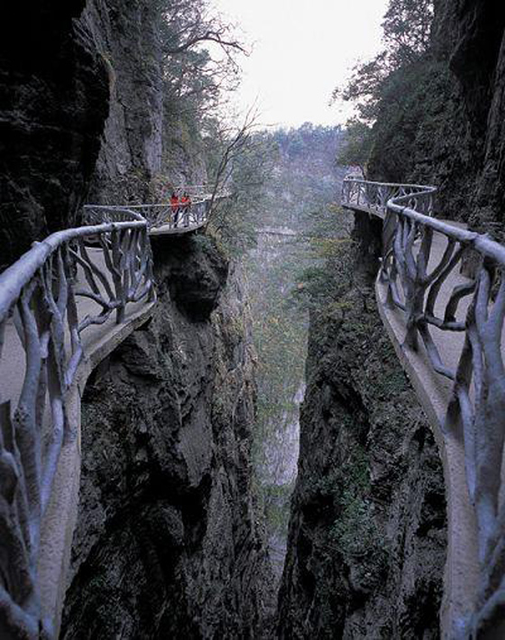 �Lɳ�����ҽ����ɭ�ֹ��@�����Tɽ������