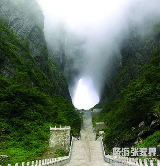 �����T����������