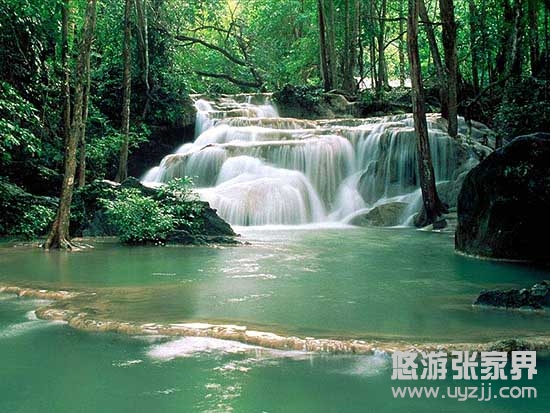 鳥語花香潺潺流水的金鞭溪