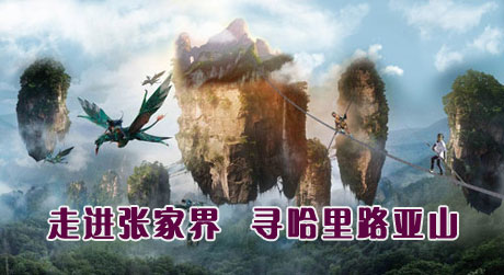 ���ҽ����Ă�(g��)ʡ