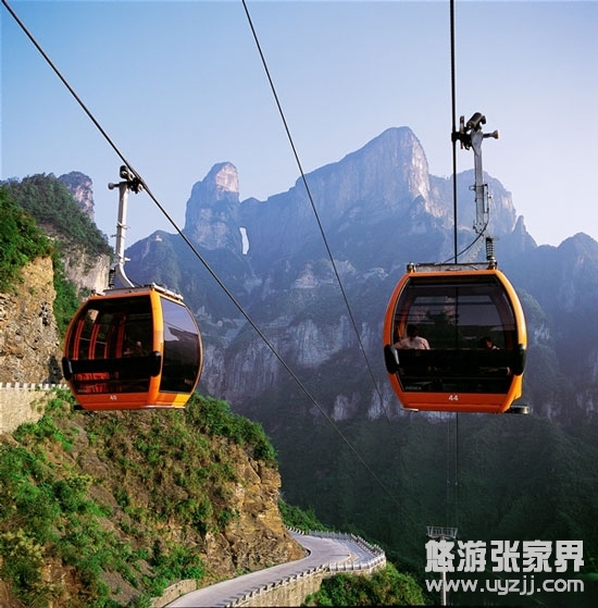 ���������L����