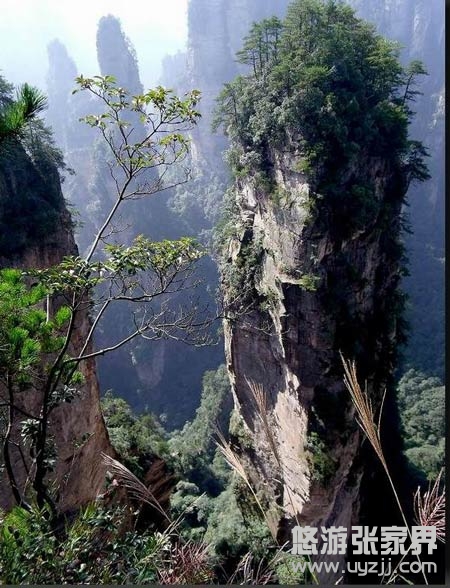 Ԭ�ҽ簢���_(d��)�Ĕz��