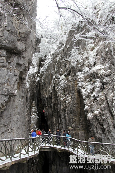 ���ȗ��������ڹ��ȶ��ςȵ��ͱ��ؾ��f�̑������g