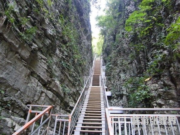 ���ҽ��{��