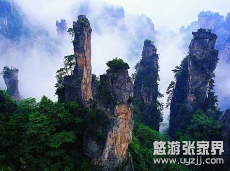 ���ҽ�����ɽ