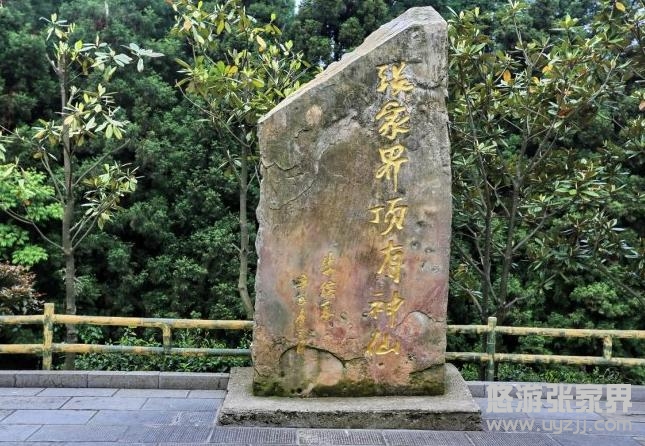 ���F���}�����ҽ��������ʯ��